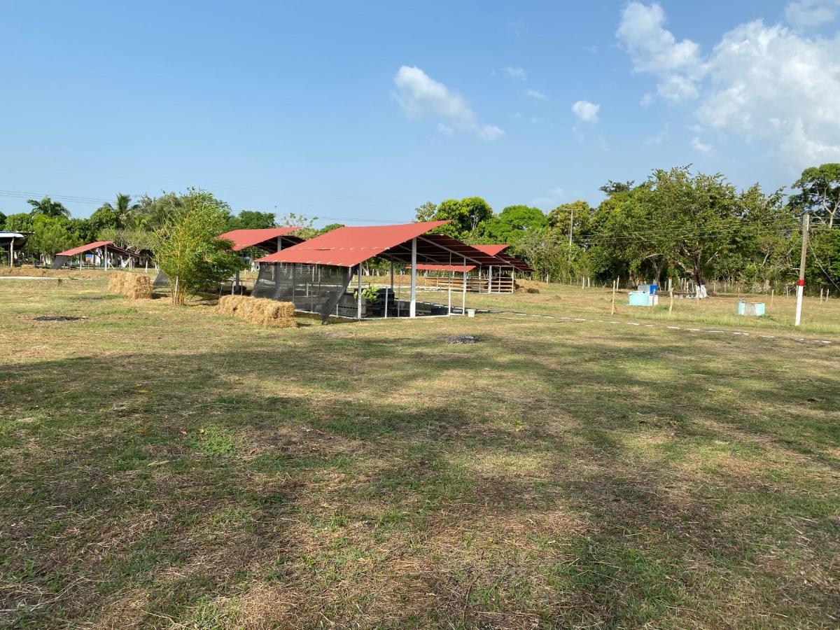 Hotel - Granja De Animales San Basilio De Palenque San Basilio del Palenque Extérieur photo
